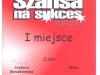 Referencje Szansa na sukces Justyna Steczkowska